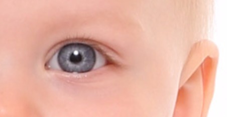 Themadag Staat van Zijn | 26 juni 